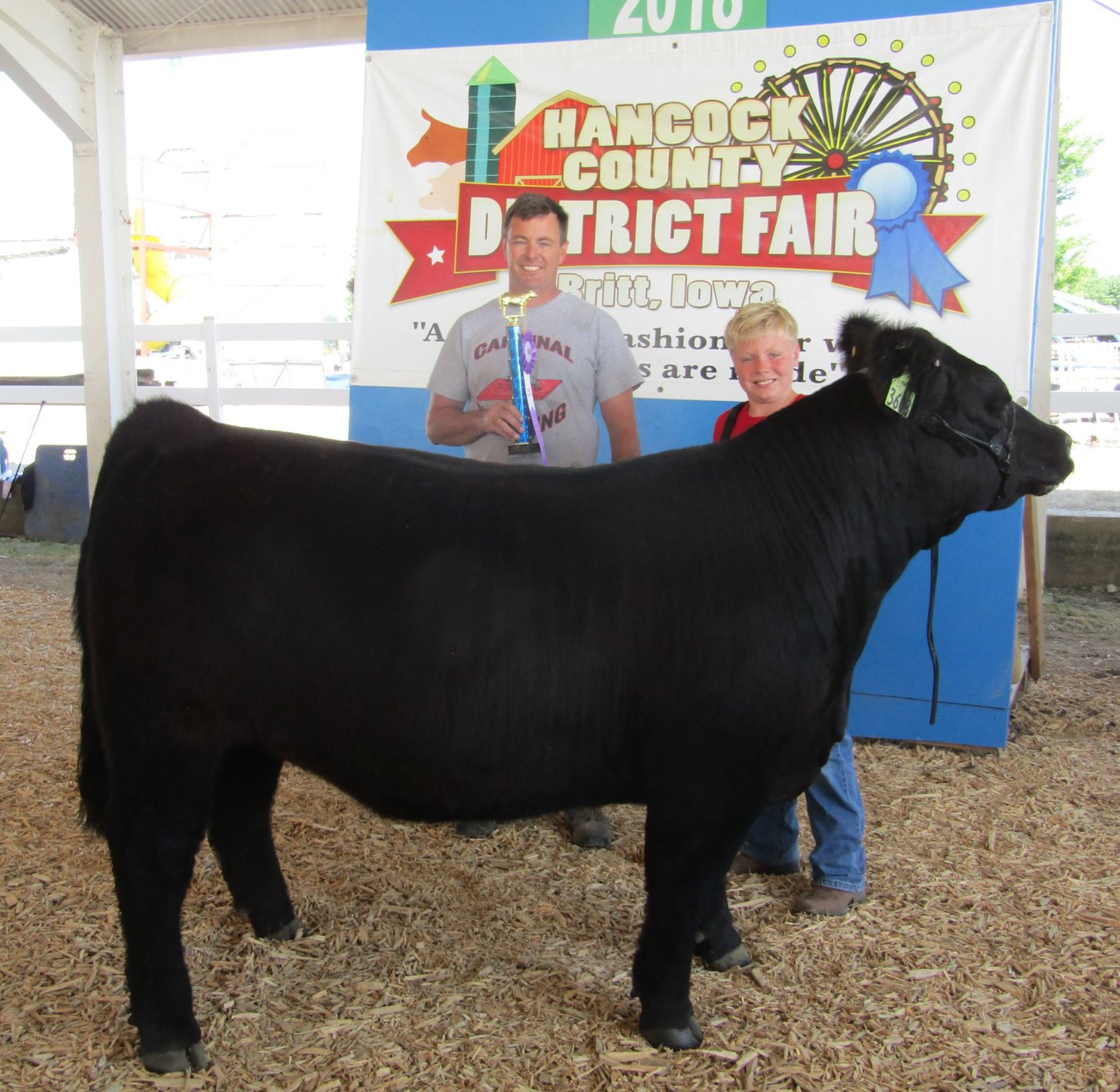 Beef Show 10